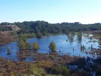 Tranquil Retreat in Bolilmark-By Traum