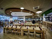 Sound Garden Hotel Airport Hotels near Ochota