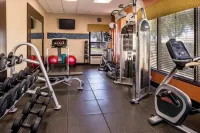 Hampton Inn San Antonio Stone Oak - Gym