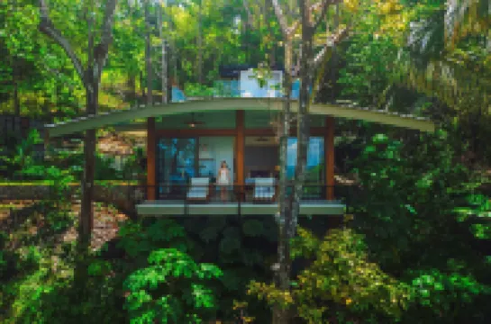 Los Altos Resort Hotels in 