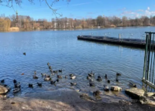 City Stay in Zwickau