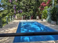 Casa Toucan: Private Jungle Setting with Ocean-View and 40 Foot Pool - Pools