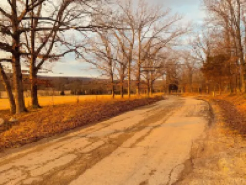 Lake Road Cabin C — Million Dollar Ozark View!