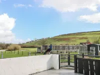 Dylan's Court