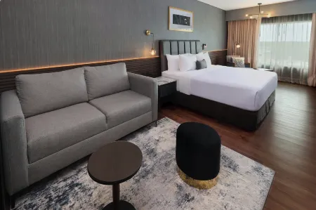 Crowne Plaza VILLAHERMOSA by IHG