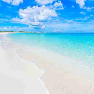 Spacious Beach Suite - Minutes from Grace Bay Fitness & Recreational Facilities