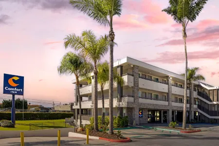 Comfort Inn SeaWorld Area