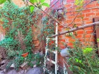 Casa de Huéspedes "La Casa Bonita" Hotels in 