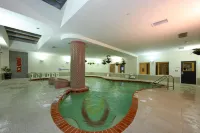 DoubleTree by Hilton Sarasota Bradenton Airport - Pools