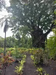 Glowing Mountain View Tree House โรงแรมใน