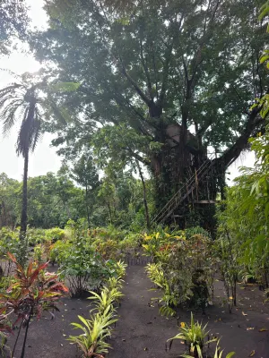 Glowing Mountain View Tree House - Bữa sáng