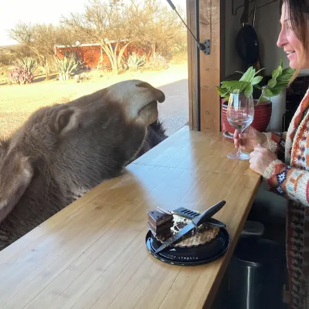 Ranchito Paraiso: Pet-friendly Rustic Elegance in the Desert