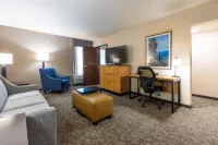 Drury Inn & Suites St. Louis Airport - parking