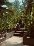 Lexias Hostel and Workspace - Siargao