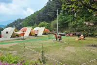 Wonju Forest Dome - Swimmingpools