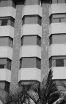 Hotel Guadalajara Plaza Ejecutivo - Gym