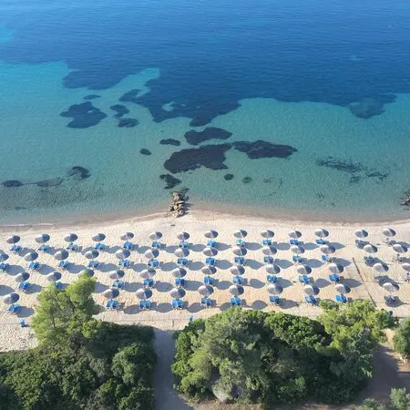 Blue Dolphin Hotel