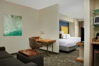 SpringHill Suites Baton Rouge North/Airport - خدمة نقل من وإلى المطار