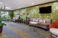 Sleep Inn & Suites Hotels in Darien