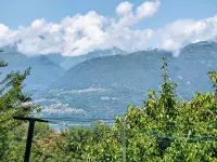 Gelsomino (Cco115)