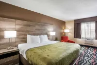 Quality Inn Cedar Rapids South Hotel di Cedar Rapids