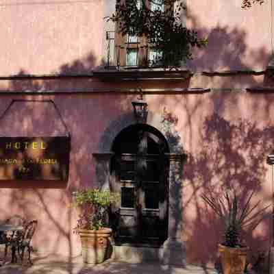 Collection O Posada de Las Flores Loreto Hotel Exterior