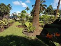 Hotel Manutara - 2-Star