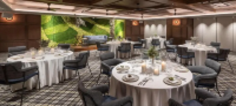 The Lively Fukuoka Hakata