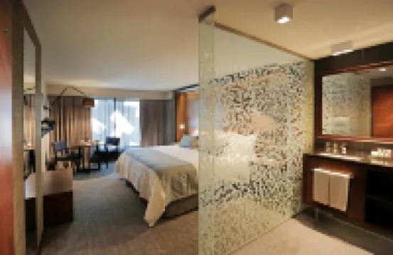 Hotel Cumbres Lastarria