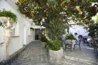 Le Magnolia Hotels in Calvi