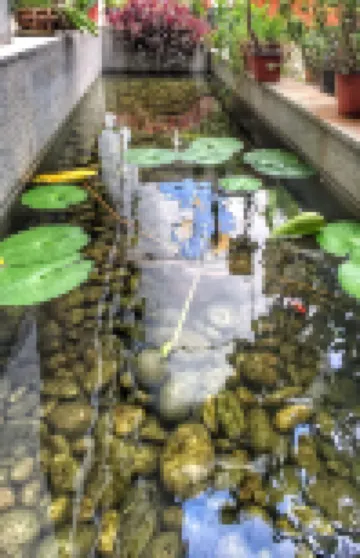 Xishuangbanna Jinghongyun Jintai Resort Hotel Hotels in Jinghong