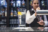 Hotel Strijewski - bar