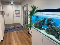 Mr.Kinjo Inn Rinzu Seragaki