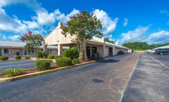 Rodeway Inn & Suites