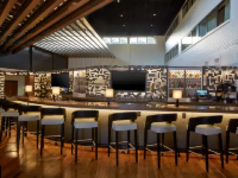 ดับเบิลทรีบายฮิลตัน แอตแลนตา เพอริมิเตอร์ ดันวูดดี้ โรงแรมในแอตแลนตา