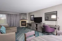 Hampton Inn Midland Hoteles en Midland