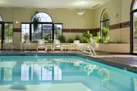 Embassy Suites by Hilton Kansas City International Airport - Pool