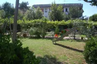 Hotel Perugini Hotels in Marebello