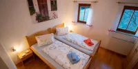 Ferienwohnungen Lichtenegger - Apartamento De Dos Habitaciones Con Balcón