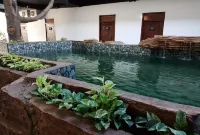 Coconut Hotel Hotel di Semen