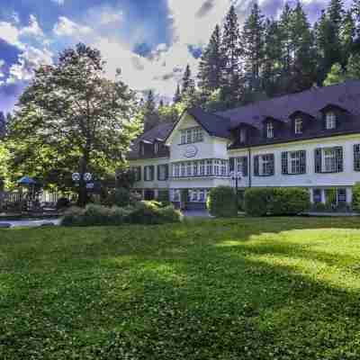 Waldhotel Bad Sulzburg Hotel Exterior