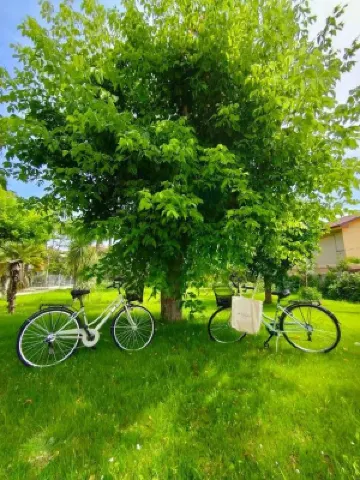 マリーナガーデンズブティック&スイーツ のホテル