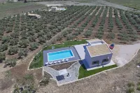 Villa Dell'Artista