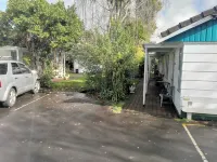 Lincoln Court Motel Hotels near Auckland City Lookout