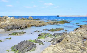 Yakushima Guesthouse Suginoko