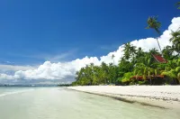 Alona Pawikan Hotels in Panglao