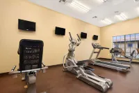 Microtel Inn & Suites by Wyndham Round Rock - Gym