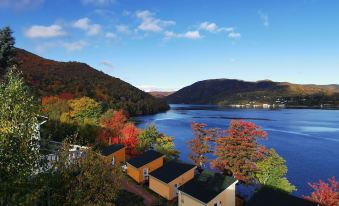 Knotty Pine Cottages, Suites & Motel Rooms