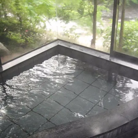 Annex Turtle Hotori-An