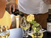 Ibis Sion Hotels in Sion